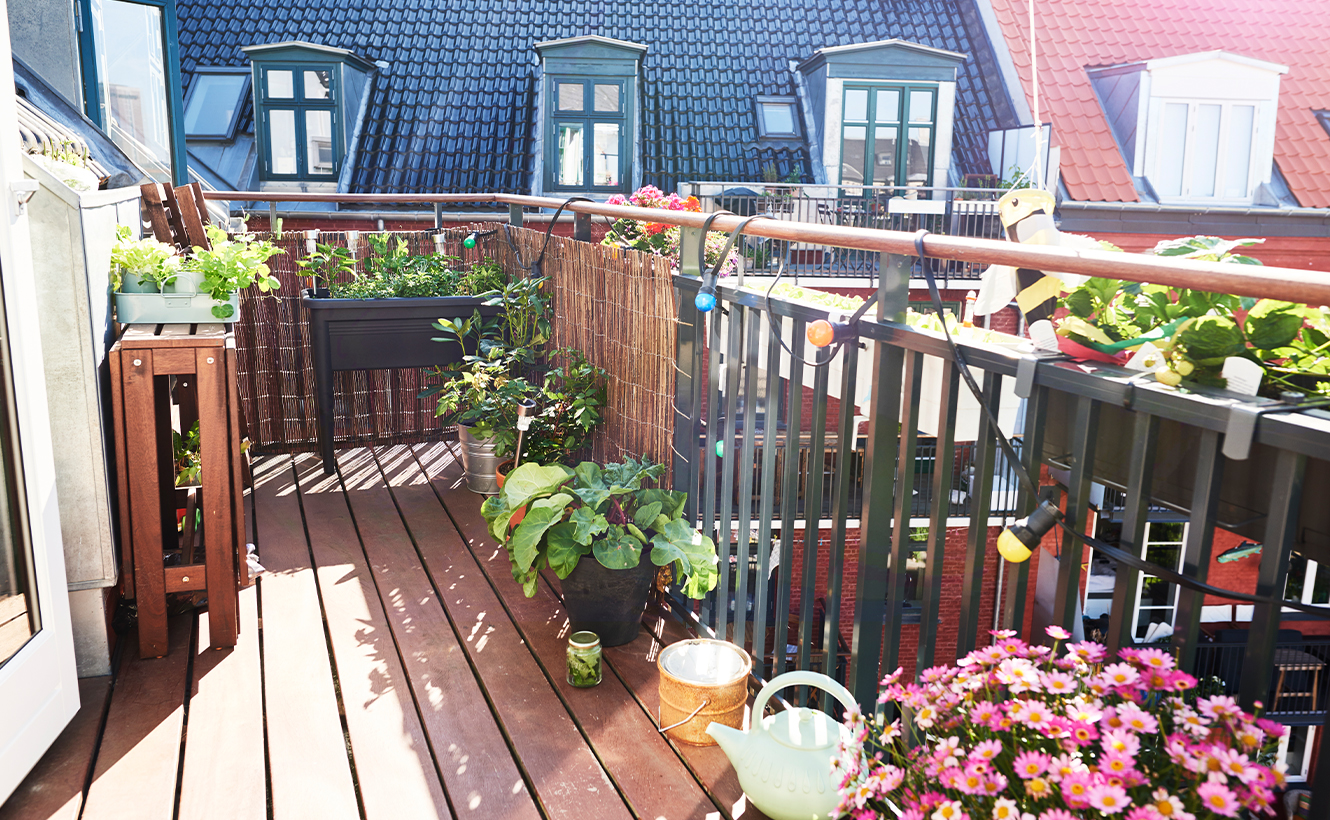 Insektenfreundlicher Balkon im Sommer