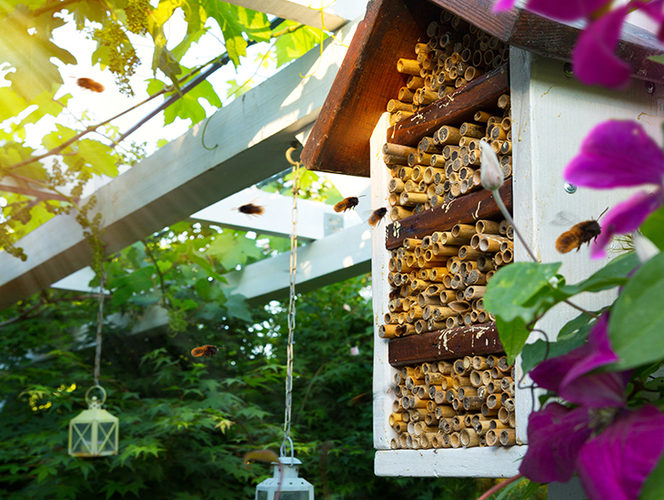 Insektenfreundlicher Balkon – Insektenhotel